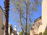 More Details about MLS # 250020248 : 3205 VIA ALICANTE 11