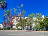More Details about MLS # 250021525 : 3606 1ST AVE 105