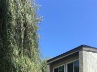 More Details about MLS # 250025695 : 5071 LA CUENTA DR