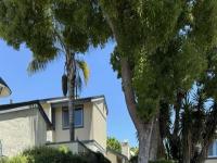 More Details about MLS # NDP2405249 : 170 CERCO ROSADO