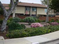 More Details about MLS # PTP2503031 : 10250 MICHALA PLACE