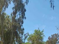More Details about MLS # PTP2503336 : 3252 VIA MARIN 9